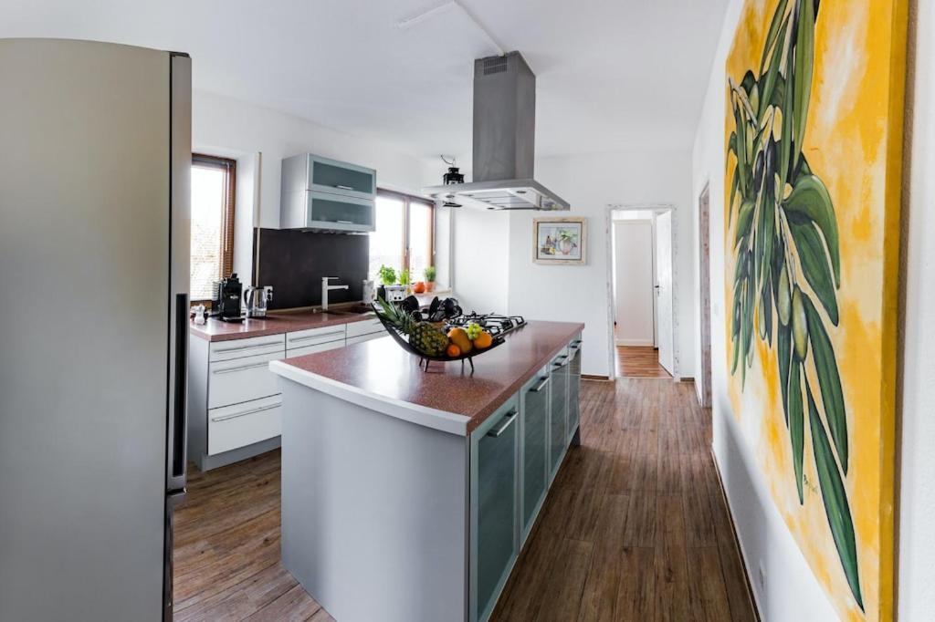 Ferienwohnung Finke 2 フリードリヒスハーフェン エクステリア 写真