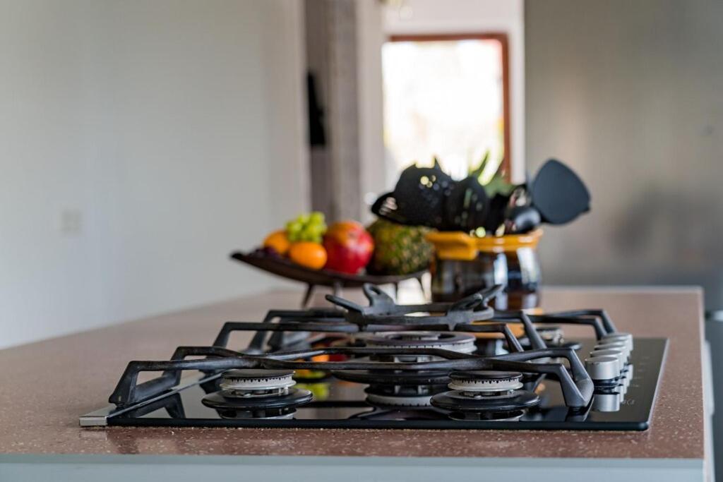 Ferienwohnung Finke 2 フリードリヒスハーフェン エクステリア 写真