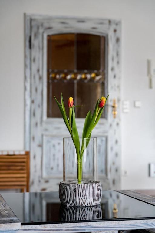 Ferienwohnung Finke 2 フリードリヒスハーフェン エクステリア 写真