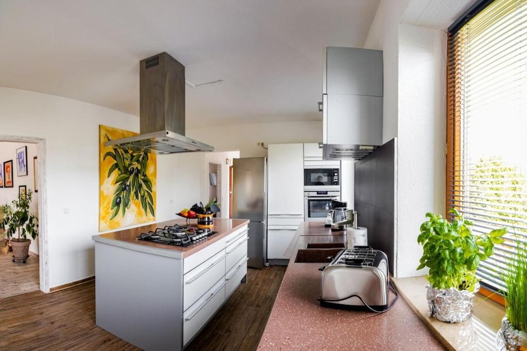 Ferienwohnung Finke 2 フリードリヒスハーフェン エクステリア 写真